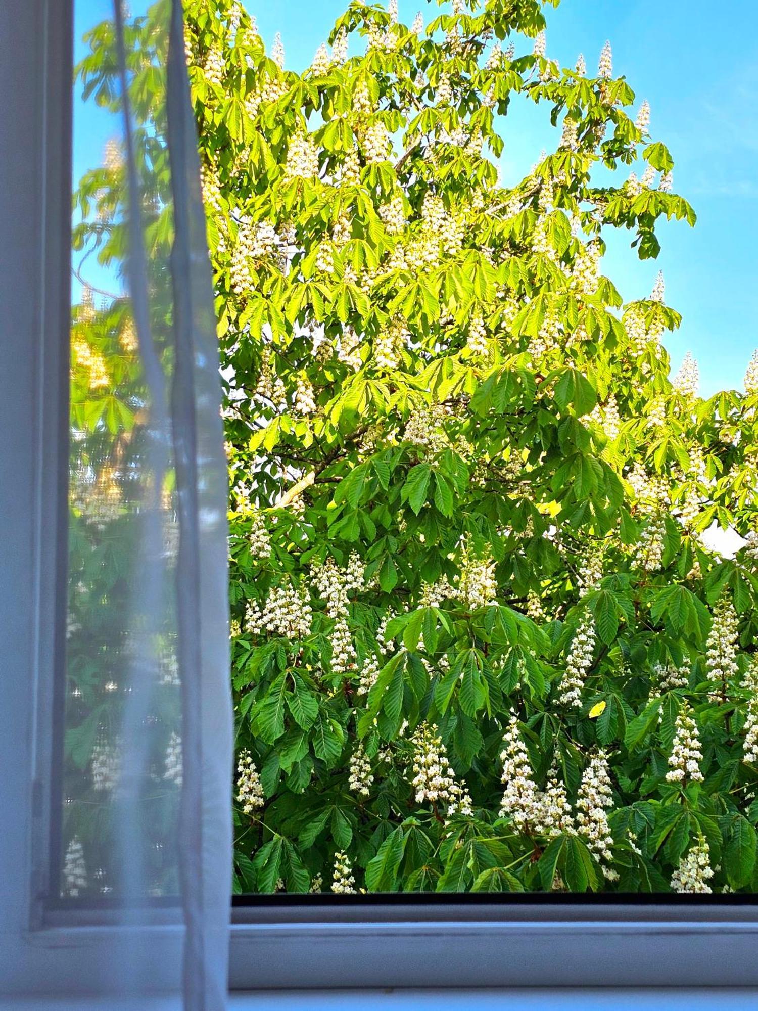 Apartamentai 76 Druskininkai Buitenkant foto